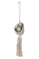 Set 2 Corde Parete Vasi 8 10 Ø 60 127 cm