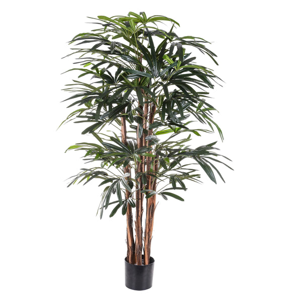 acquista Rhapis Excelsa artificiel avec pot Hauteur 155 cm Vert