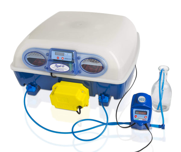 Incubateur d'œufs et humidificateur automatique Borotto Real 49 Expert sconto