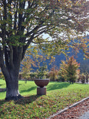 Barbecue a Legna Ø60x71 cm Primula in Acciaio Nero Alta Temperatura