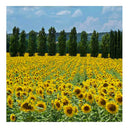 Pannello Radiante Elettrico Quadro Termico 60x60cm 450W Vannini Girasoli