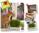 Kit Semi di Erba Gatta con Cassettina in Legno 23x14x6 cm e Terriccio Rama