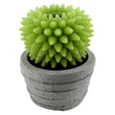 Candela led cactus con vaso fontana cm Ø23xh28