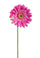 Set 8 Fiori Artificiali di Gerbera Singolo H 62 cm