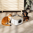 Fontana Dispenser Erogatore d'Acqua da 3,5 Litri Intelligente per Cani e Gatti con Sensore      