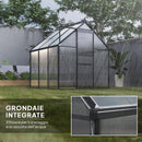 Serra con Porta a Battente e Finestra a Tetto 190x190x200 cm in Policarbonato e Alluminio Grigio      
