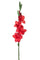 Set 4 Glaïeuls Artificiels Hauteur 85 cm Rouge