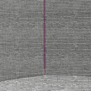 Rete di Protezione per Trampolini a 6 Pali con Ingresso con Cerniera Ø305x180 cm in PE Nero e Rosa