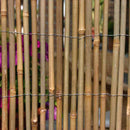 Arella Frangivista da Giardino in Bamboo Rama Canes Naturale Varie Misure