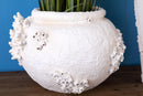 Vaso Conchiglie e Coralli Ø 56x39 cm
