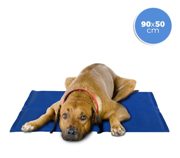 Tapis rafraîchissant 90x50 cm avec gel rafraîchissant pour chiens de grandes races prezzo