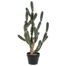 Cactus Euphorbia Artificiale con Vaso Altezza 84 cm 