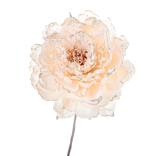 Set de 12 Piques Pivoine Ø11 cm Beige prezzo