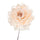 Set de 12 Piques Pivoine Ø11 cm Beige