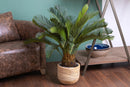 Cycas Artificiale con Vaso Altezza 93 cm Verde