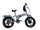 Bicicletta Elettrica GT3 PRO 250W con Freni Idraulici Display XXL e Chiave NFC Grigio