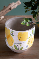 Set 3 Contenitori Decorativo Limoni Ø 14 H 14 cm