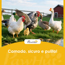 Pollaio per Galline da Esterno 3x1x1 m con Tetto Impermeabile Anti-UV e Serratura in Acciaio Zincato Nero      