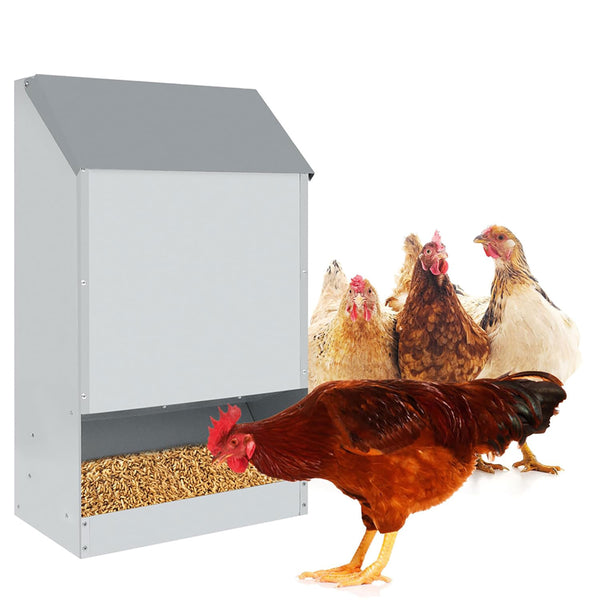 acquista Mangiatoia per Galline 35x20x63 cm Capienza 23kg in Acciaio Zincato