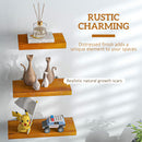 Set di 3 Mensole da Parete di Design 30/40/50x18x3,6 cm in Legno di Pino Marrone