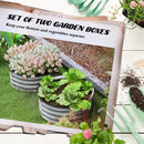 Set di 2 Letti per Orto Rialzati con Fondo Aperto Ø60x30 cm in Acciaio Galvanizzato Argento