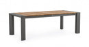 Tavolo Allungabile da Giardino 228-294x100x75h cm Cameron Antracite