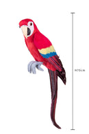 Pappagallo H 70 cm