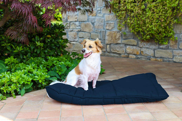 Coussin Rembourré pour Chiens et Chats 60x100 cm en Grosse Microfibre Bleu Foncé online