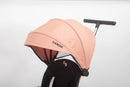 Passeggino Triciclo per Bambini 1-3 Anni Trico Luxury Gold 7 Modalità di Guida Rosa