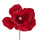 Set de 12 Pics Catleia H15 cm Rouge