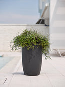 Vaso in Polietilene Meti 30 Bronzo Varie Misure