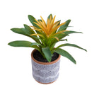Set 4 Pianta Artificiale di Billbergia in Vaso Altezza 21 cm Grigio