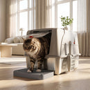 Lettiera Gatto Chiusa XL 61x41x38 cm con Coperchio Gradino Raccogli-lettiera e Paletta in Acciaio Inox e ABS Grigio Chiaro      