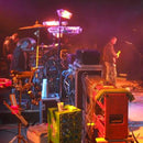 Stufa Elettrica ad Infrarossi 82x11x8 cm 1800W Moel Fiore Black 767N