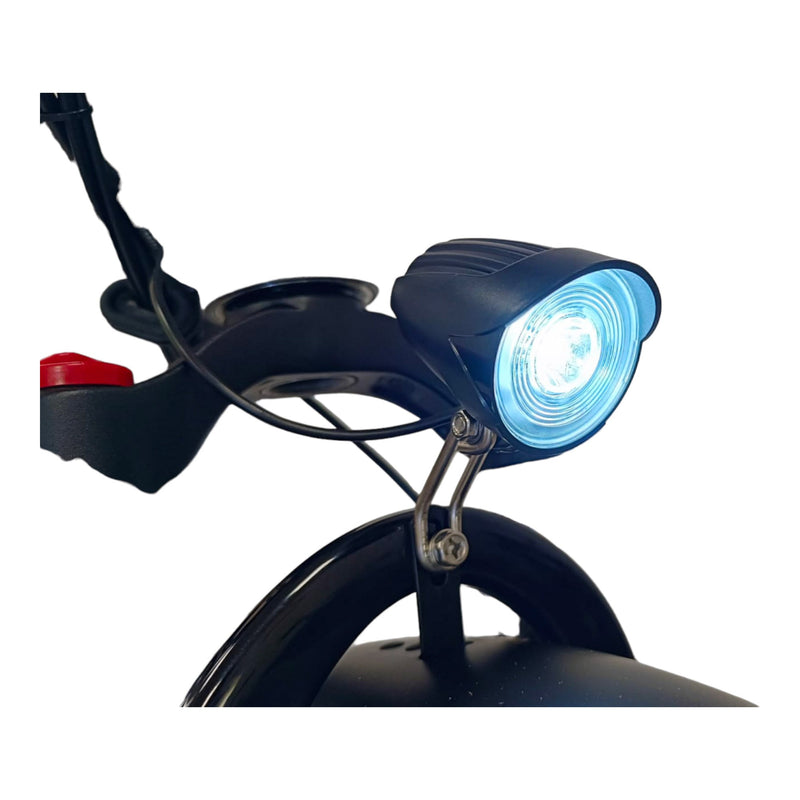 Fat-Bike Bicicletta Elettrica Pieghevole 36V a Pedalata Assistita 20"" 250W Grigio Nardò