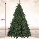Albero di Natale 240 cm Piccadilly Super Folto 1464 Rami Pino Verde Base Croce