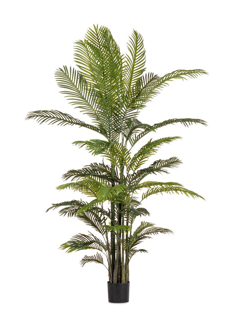 Pianta Artificiale di Kenzia Ø150x210 cm in Plastica con Vaso Verde 