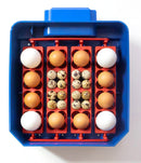 Incubatrice per Uova Termoisolante con Biomaster Borotto Lumia 16