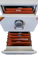 Classificatore Ignifugo Technomax Dfce 4000 per Documenti Elettronico        