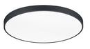 Plafoniera da Interno a LED in Metallo Nero Opaco