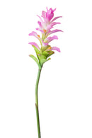 Set 4 Rami Artificiali Ginger Fiore con Foglie 100 cm 