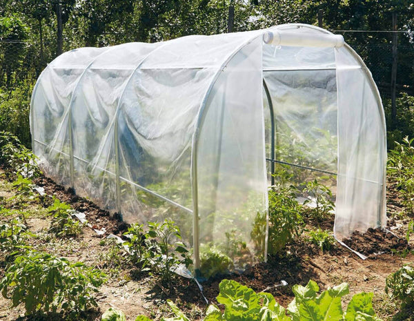prezzo Serre de jardin en acier avec tissu Rama Spring Maxi