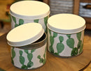 Cofanetti in Latta Cactus Set 3 Pz Ø15x13,5-14x11,5-12,5x10 cm in Ferro Bianco, Verde