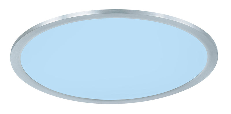 Plafoniera da Interno a LED in Metallo Nichel Opaco