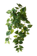 Set 2 Piante Artificiali Potos con 129 Foglie H 68 cm