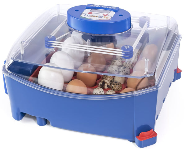 sconto Incubateur d'oeufs à isolation thermique avec Biomaster Borotto Lumia 16