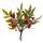 Set 12 Pic Ruscus 16 cm Rouge/Vert