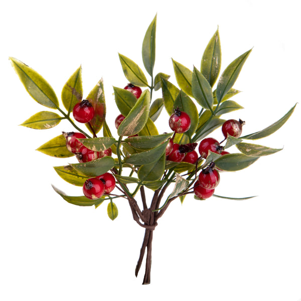 Set 12 Pic Ruscus 16 cm Rouge/Vert online