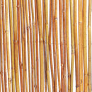 Arella Frangivista da Giardino in Bamboo 1x3m Rama Canes Naturale