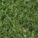 Erba Sintetica per Giardino 35mm 2x10m Rama Verdecor Gold Plus Verde
